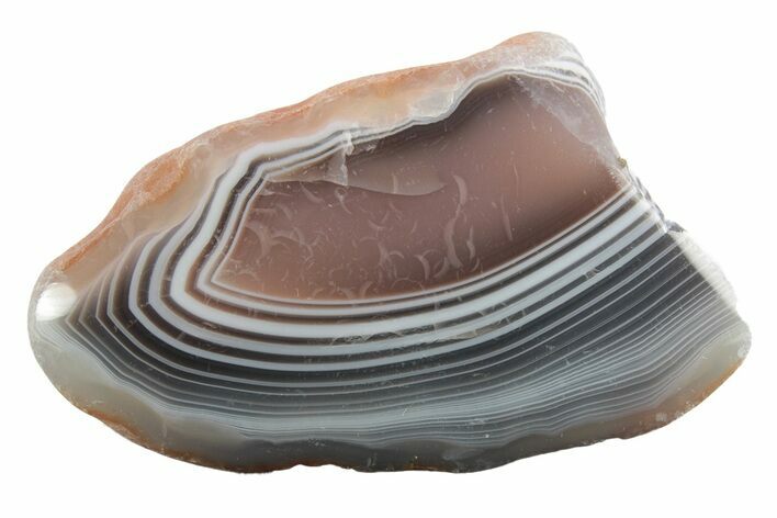 Polished Botswana Agate - Botswana #247985